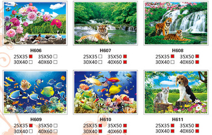 3D光柵印刷品/3D立體畫(huà)/海底世界/桂林漓江/一帆風(fēng)順 H598-663